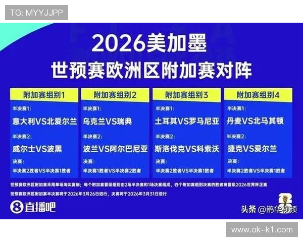 2026世界杯出线球队盘点：进入淘汰赛队伍完整整理